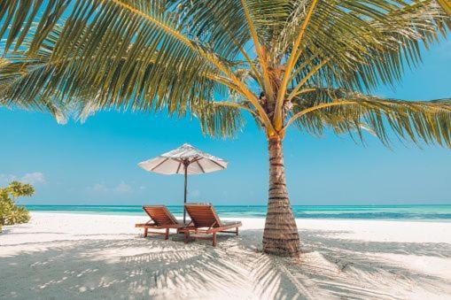 Gorgeous Beachy Chic Condo In Key Biscayne ไมอามี ภายนอก รูปภาพ